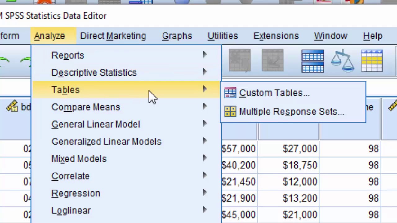 Spss 24 for mac
